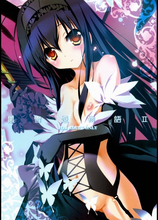 アクセル・ワールド 黒雪姫物語 2