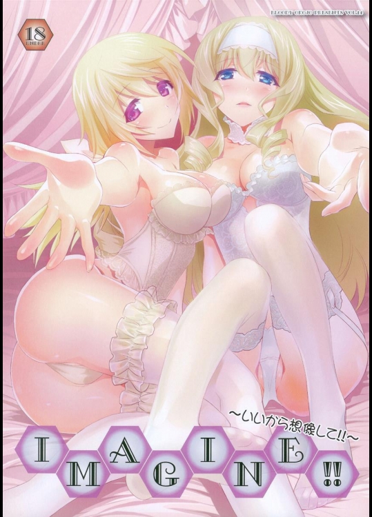 [Bloody Okojo] IMAGINE!!～いいから想像して!!～(IS＜インフィニット・スト
