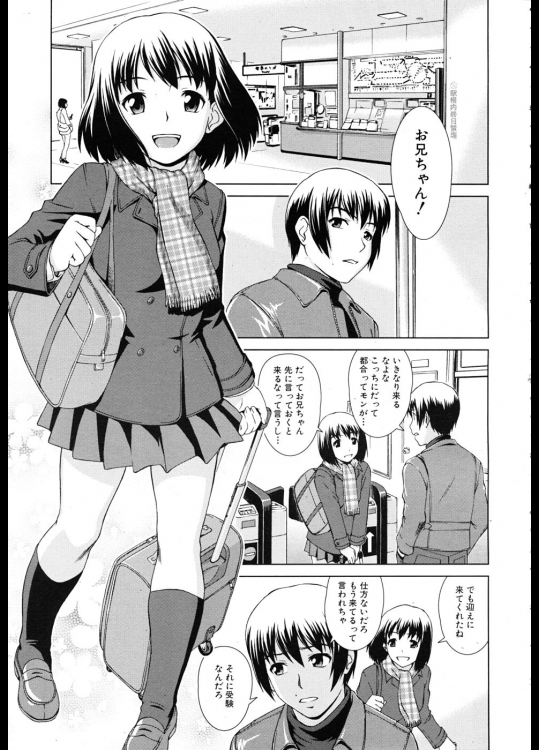 不揃いのパズル