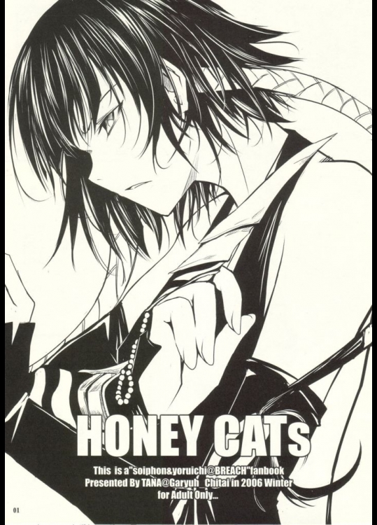 HONEY CATs (BREACH)_2