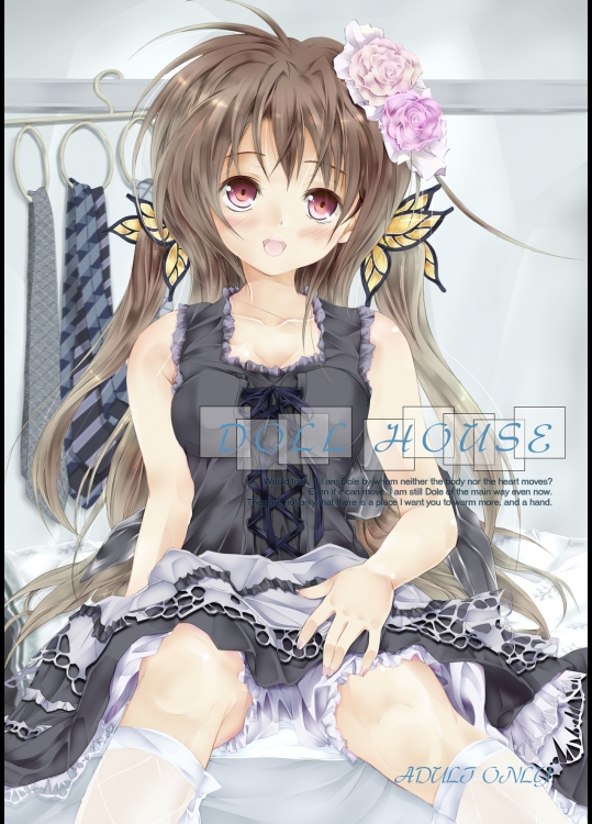 11109 [八木崎銀座] DOLL HOUSE (オリジナル)(C81)