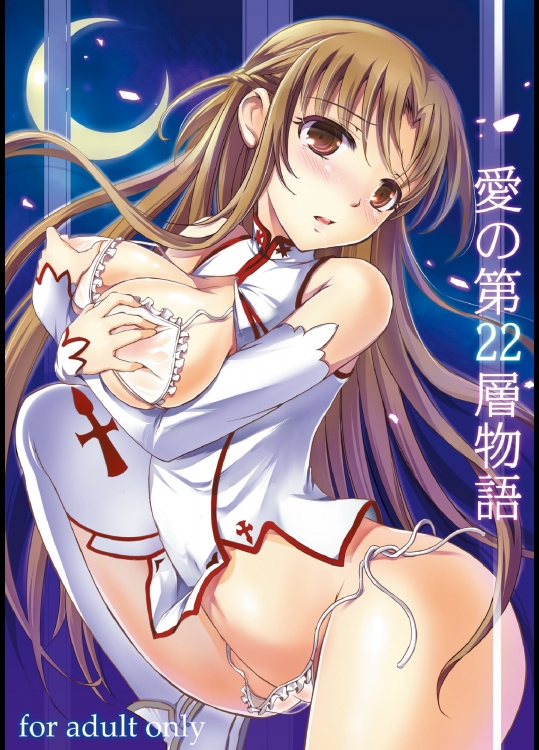 SAO 愛の第22層物語-