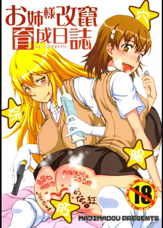 お姉様改竄育成日誌 (とある科学の超電磁砲)_2
