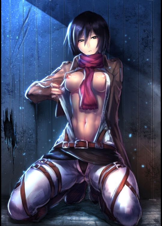 shingeki_no_kyojin11