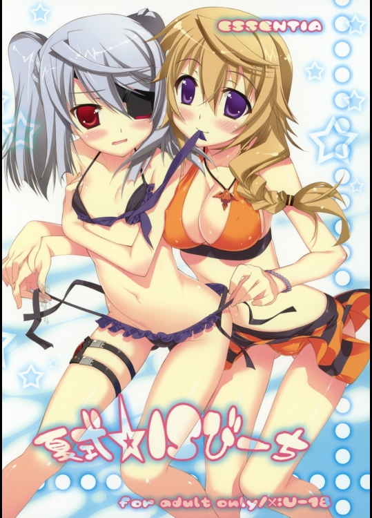 10181 [ESSENTIA(藤真拓哉)] 夏式IS☆びーち(インフィニット・ストラトス)(C80