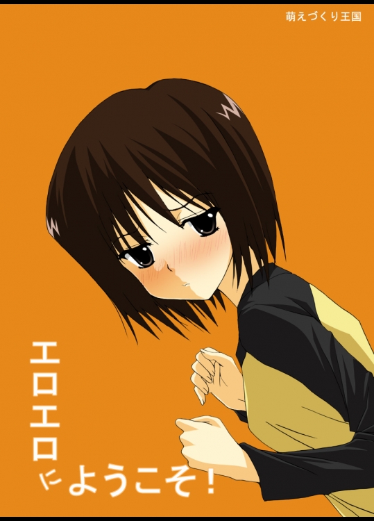 エロエロにようこそ！ (NHKにようこそ)_3