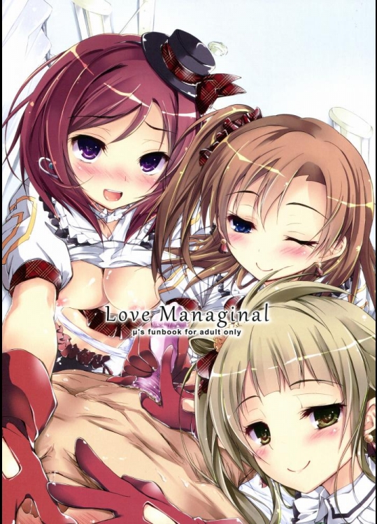 [八木崎銀座(八神秋一)] Love Managinal (ラブライブ！)_2