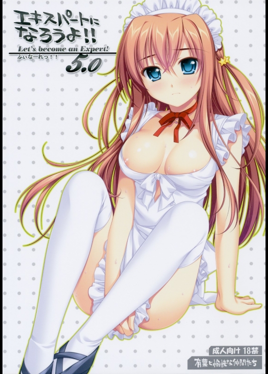 エキスパートになろうよ！！5.0_3