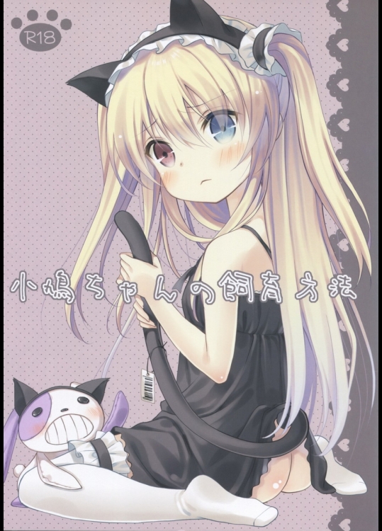 小鳩ちゃんの飼育方法_2