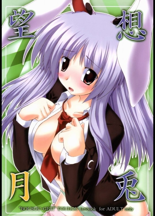 ［有言実行］望想月兎 (東方Project)