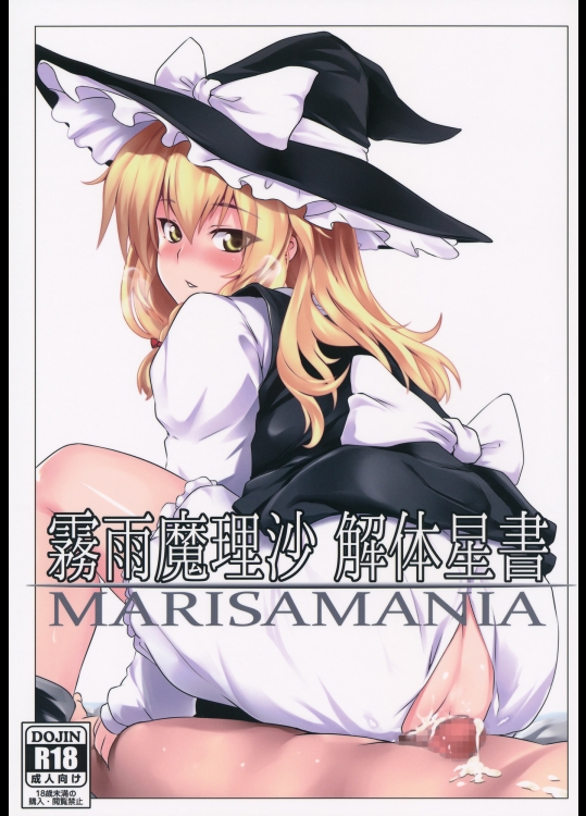 東方 霧雨魔理沙 解体星書