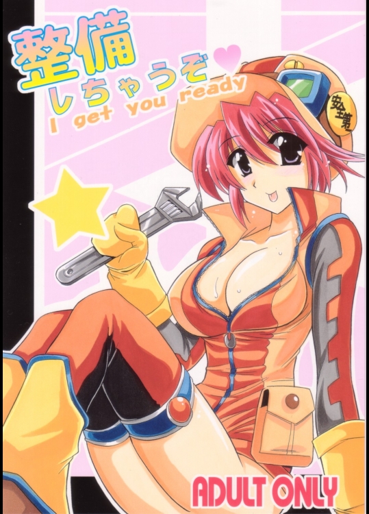 [りーず工房 (王者之風)] 整備しちゃうぞ