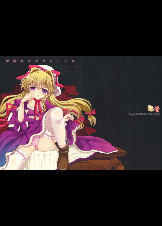  空隙のサクリファイス (東方)_4