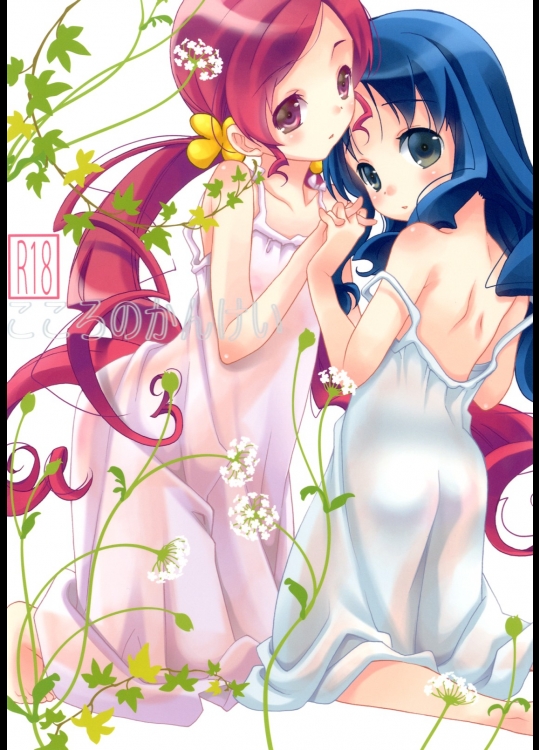 [安全第一]こころのかんけい (ハートキャッチプリキュア!)