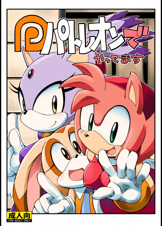 (セガのゲームは世界いち12) [天外悪十文字 (悪の東丈)] パトレオンでやってます (ソニック・ザ・ヘッジホッグ) [見本]