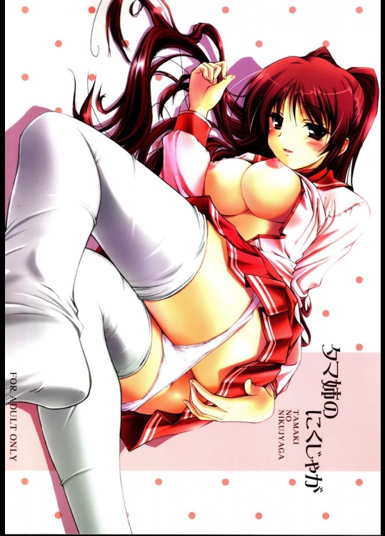 (C68) [けもこも屋 (こもりけい)] タマ姉のにくじゃが (トゥハート2)