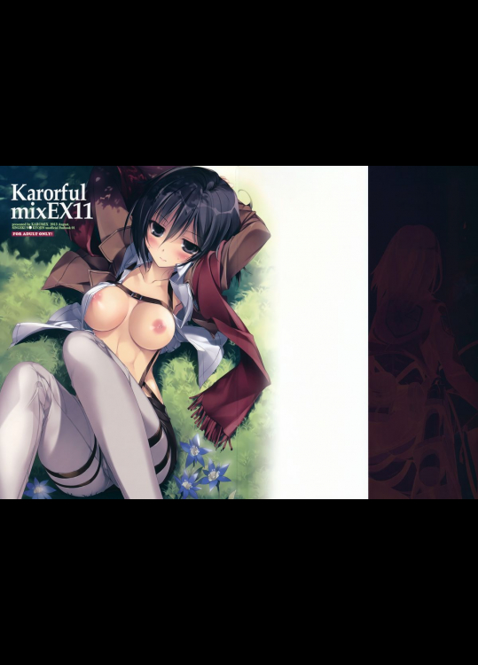 [KAROMIX]Karorful mix EX11