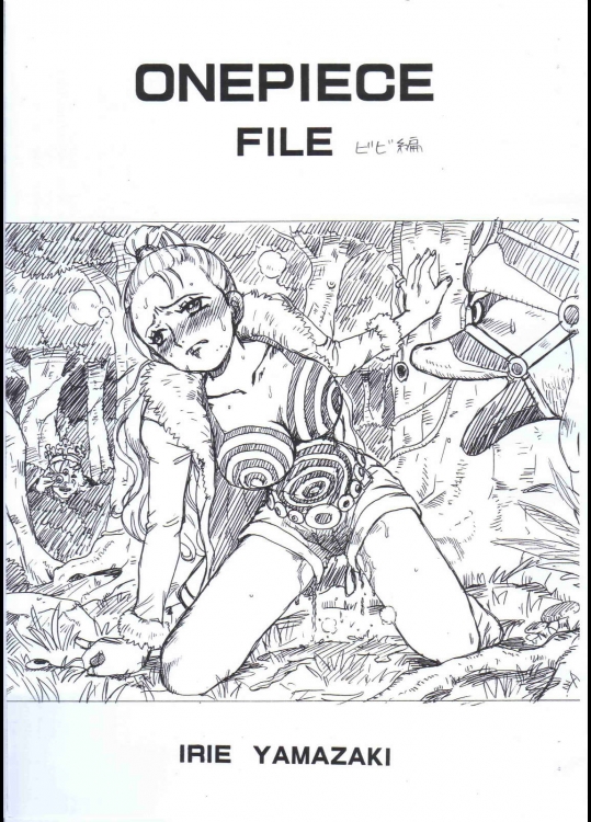 ONEPIECE FILE ビビ編          