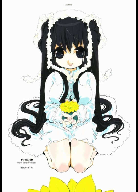 (C62) [二丁目の電柱 (皆咲ケイタロウ)] biscuit (シスタープリンセス)