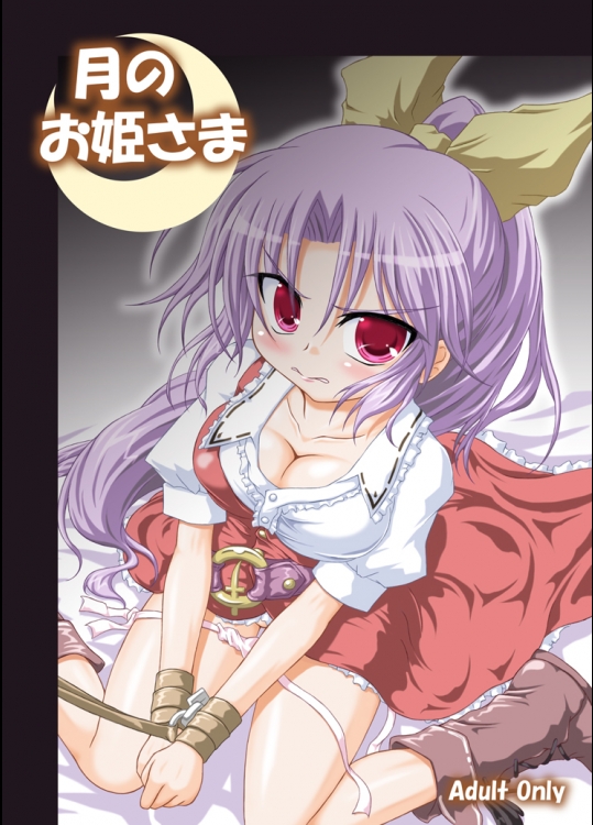 月のお姫さま