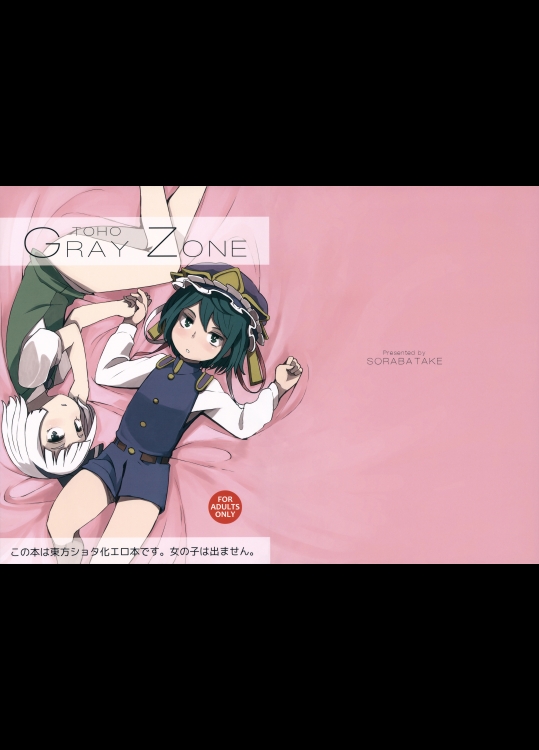(C88) [そらばたけ (D@i)] TOHO GRAYZONE (東方Project)_2