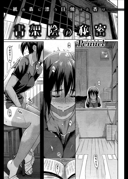 [Pennel] 書架陰の秘密