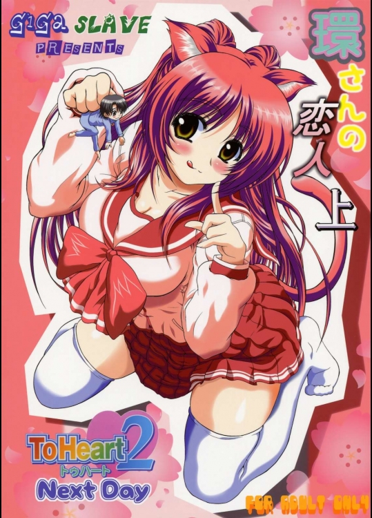 環さんの恋人上 改訂版