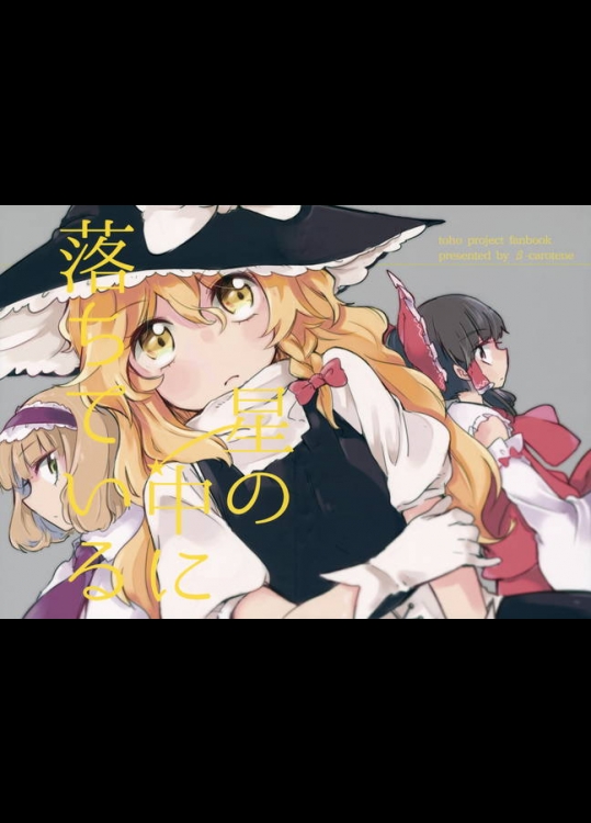 俺のアリスが大好きな魔理沙のことを想い、世話をして笑顔になり、幸せそうにしている非エロ本！！！【東方Project 同人誌・エロ漫画】