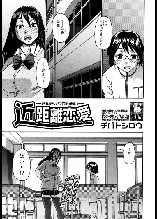 SCHAFT SECURITY SYSTEM