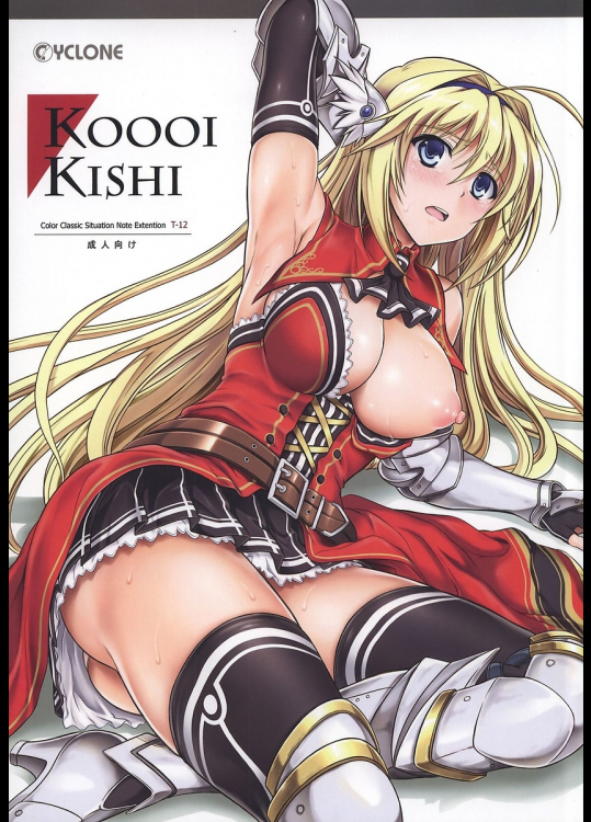 [サイクロン]T-12 Koooi Kishi