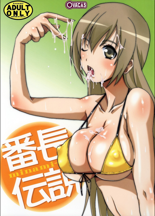 [OVACAS]番長伝説