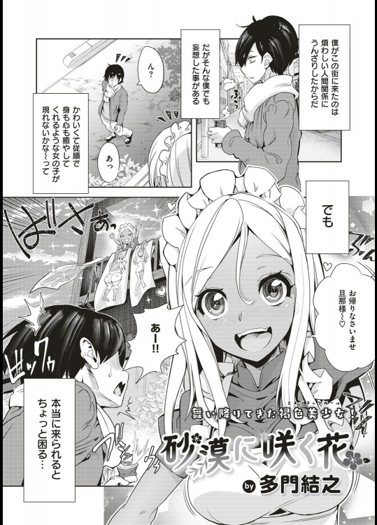 [多門結之] 砂漠に咲く花