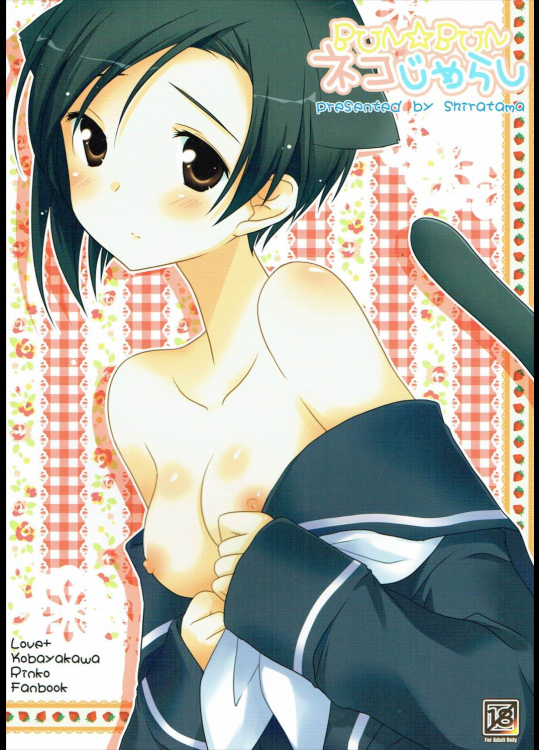 BUN☆BUNネコじゃらし