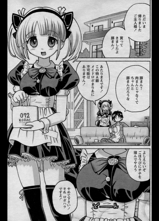 [ホーミング] 自称超高性能メイドロボまりあ