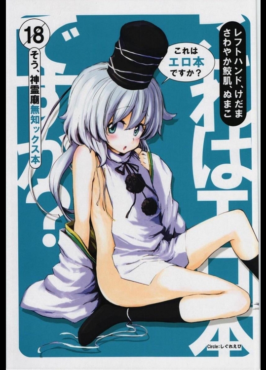 [しぐれえび (レフトハンド)] これはエロ本ですか？そう、神霊廟無知ックス本 (東方Project)