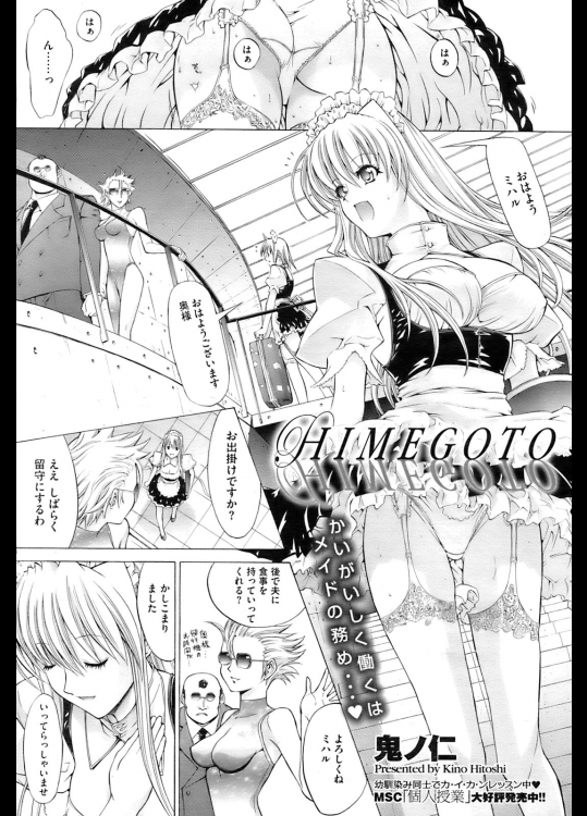 SCHAFT SECURITY SYSTEM