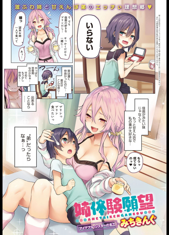 [みちきんぐ] 姉体験願望