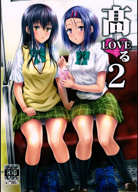 (C90) [しあわせ甘味料 (幸灯)] 高LOVEる2 (To LOVEる -とらぶる-)