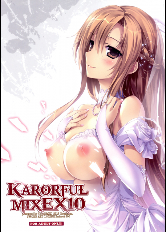 【元ネタにカッコを付けろ！】(同人誌)[KAROMIX] KAROFUL MIX EX 10(SAO)