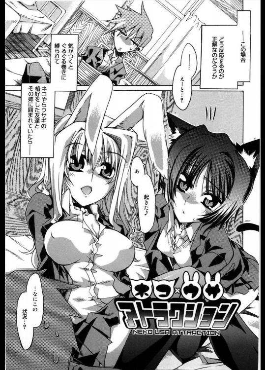 [高崎たけまる] ネコ×ウサ アトラクション