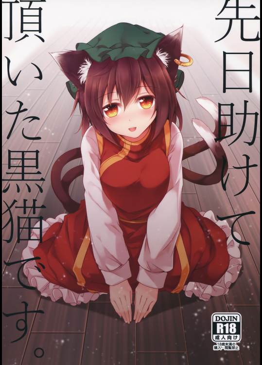 (東方合同イベント 2017新春!) [みどりねこ (みどり)] 先日助けて頂いた黒猫です。 (東方Project)