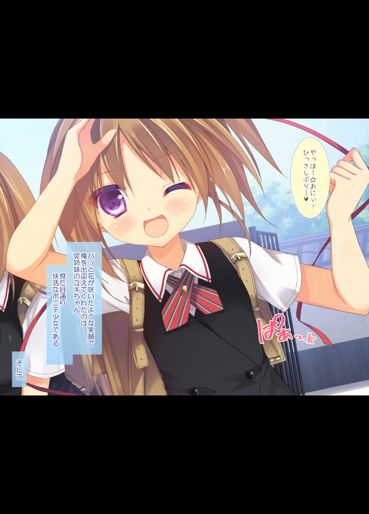 (同人CG集) [リリックボックス] ボクと双子ちゃんの夏休みの過ごし方