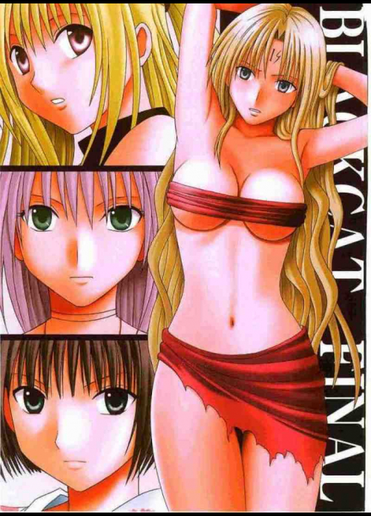 ブラックキャットファイナル