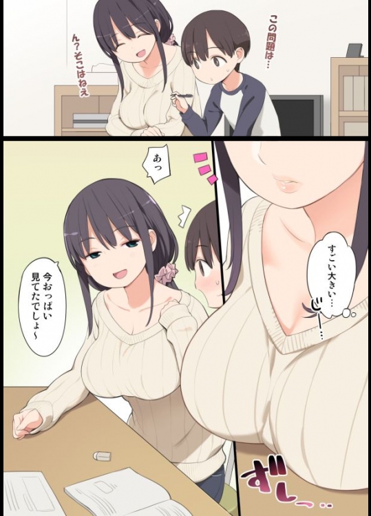 「おねショタ」のｴﾛ漫画って簡単に言うけどさぁ