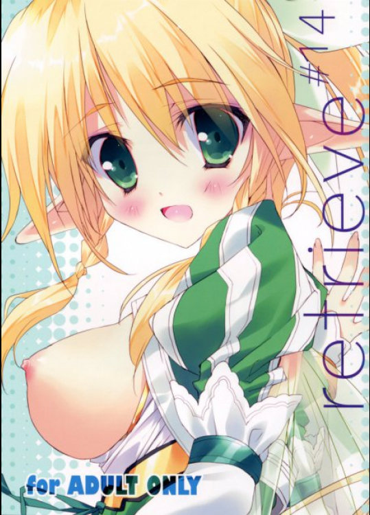 retrieve 14 ソードアート・オンライン(SAO)同人誌