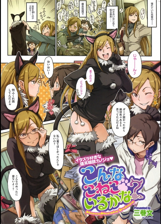 [三巻文]こんなこねこいるかな？