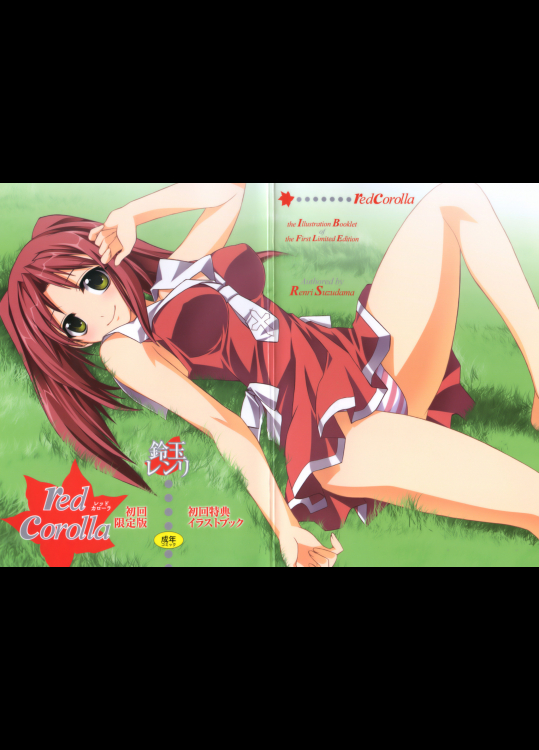 (サンクリ46)(同人誌) [サルルルル] こあくまんっ (東方)