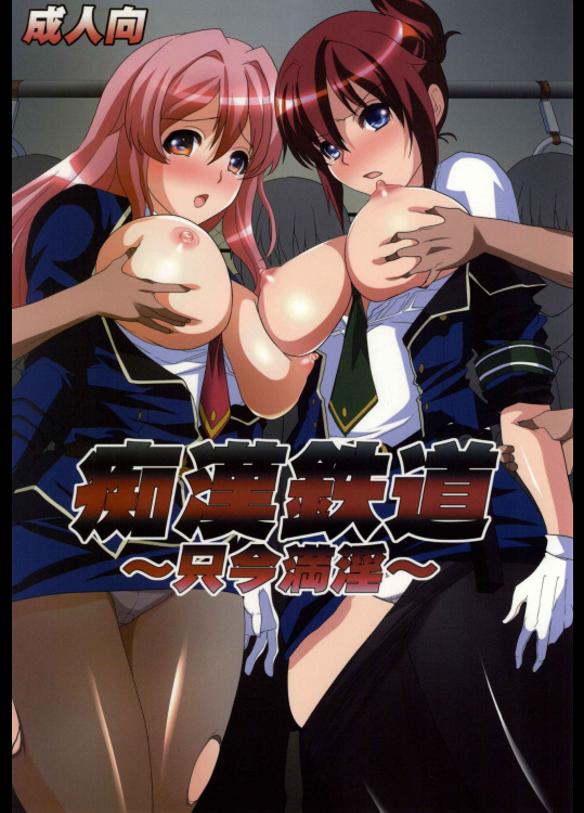 (サンクリ65) [ねことはと (鳩矢豆七)] 痴漢鉄道～只今満淫～ (RAIL WARS!-日本國有鉄道公安隊-)
