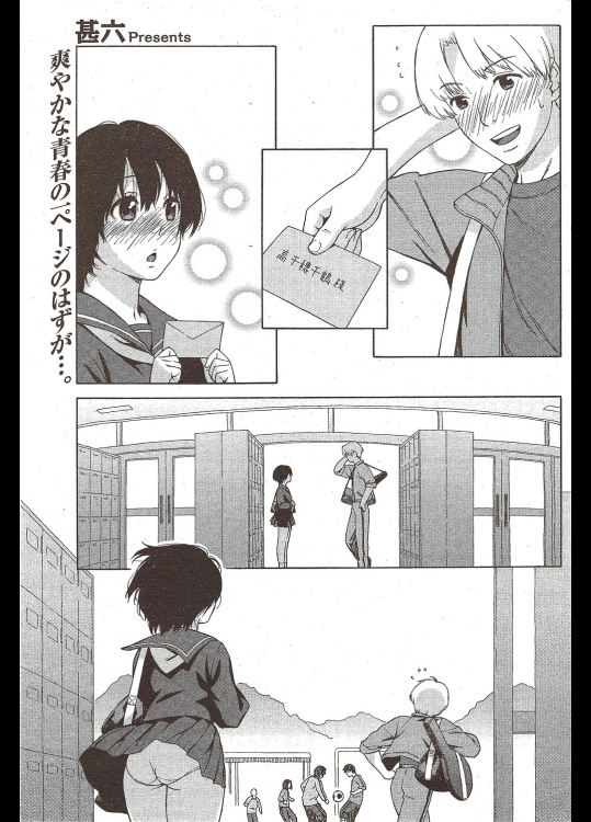 SCHAFT SECURITY SYSTEM