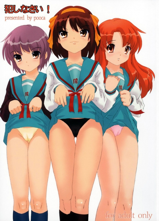 犯しなさい！ (涼宮ハルヒの憂鬱)